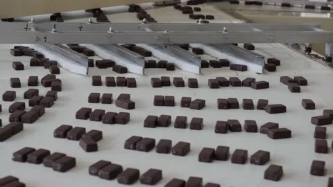 Fresh Chocolates Go Down The Conveyor. Chocolate Factory. Production Of Stock Footage 146161182