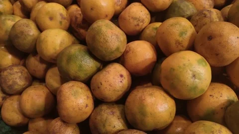 Fresh citrus fruit Stock Footage