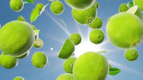 Fresh citrus limes falling down endless loop backdrop slow-motion Stock Footage 150165526
