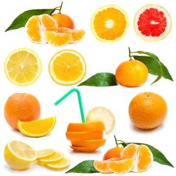 Fresh citrus on white Foto stock