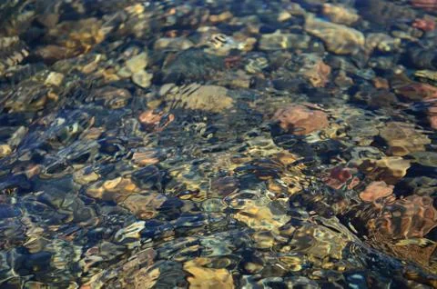 Fresh clean river flow in summer Stock Photos