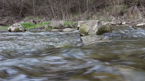 Fresh clean stream of water that flows in the river in springtime Stock Footage 153763413