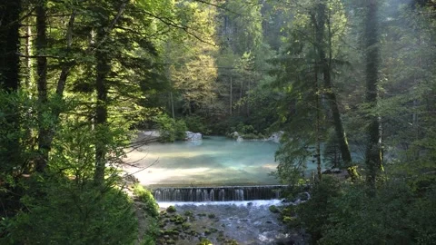 Fresh Clean Water Flowing Down a Small Waterfall at Kamniška Bistrica Stock Footage 283376248