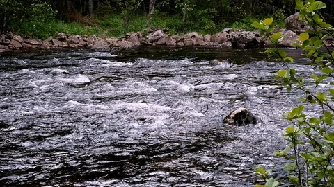 Fresh clear mountain stream river water flowing rapidly over rocks. Stock Footage 122171902