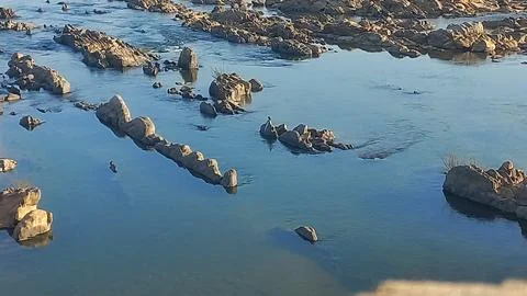 Fresh clear water in the river Stock Photos