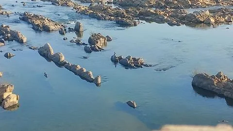 Fresh clear water in the river Stock Photos