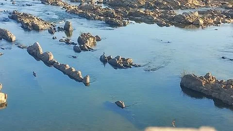 Fresh clear water in the river Stock Photos