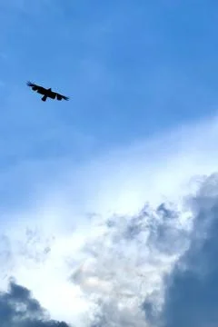 Fresh cloudy sky Stock Photos