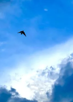 Fresh cloudy sky Stock Photos