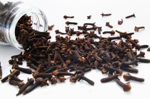 Fresh cloves Stock Photos