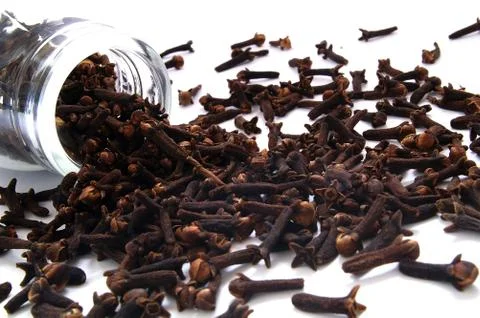 Fresh cloves Stock Photos