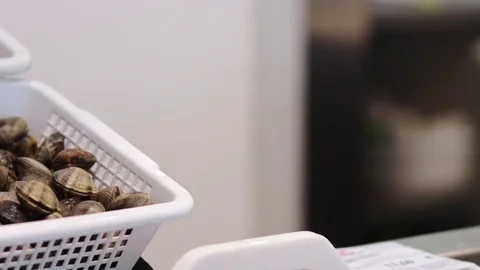 Fresh cockles 库存影片 75451885