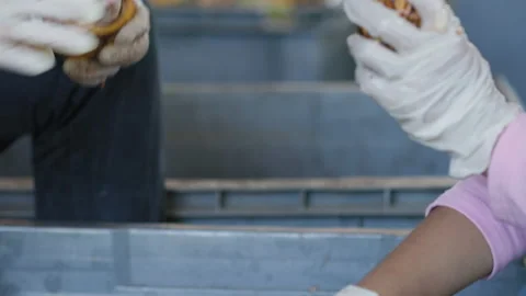 Fresh cocoa pod cut exposing cocoa seeds, with a cocoa plant Stock Footage 218076646
