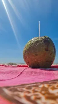 Fresh Coconut on the Beach Stock Photos