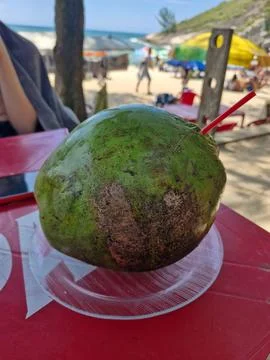 Fresh coconut on beach table Foto stock