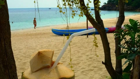 Fresh coconut drink with straw placed on sandy beach under palm trees, clear Stock Footage 285398568