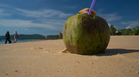 Fresh coconut with drinking straw on tropical beach, Time Lapse Stock Footage 63315110