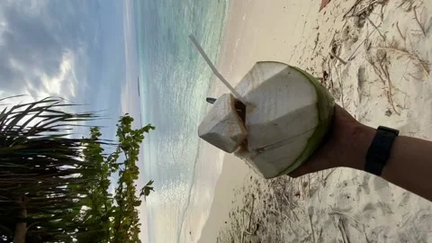 Fresh coconut with drinking straw on tropical beach, Indonesia Stock Footage 220088625