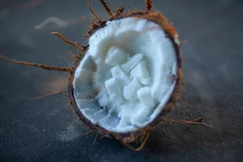 Fresh coconut half. Stock Photos