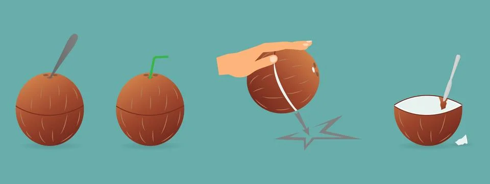 Fresh coconut Stock Illustration