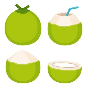 Fresh coconut illustration set Stock Illustration