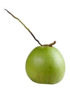 Fresh coconut isolated Foto stock