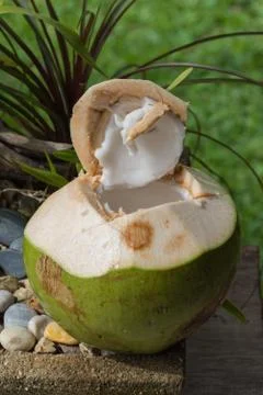 Fresh Coconut Juice Stock Photos