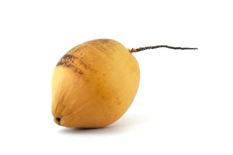 Fresh coconut Stock-Fotos