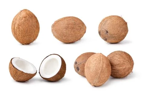 Fresh coconut Stock Photos