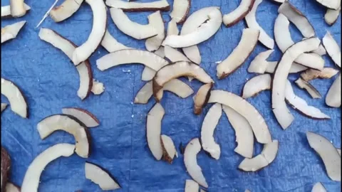 Fresh Coconut Slices Stock Footage 333168242