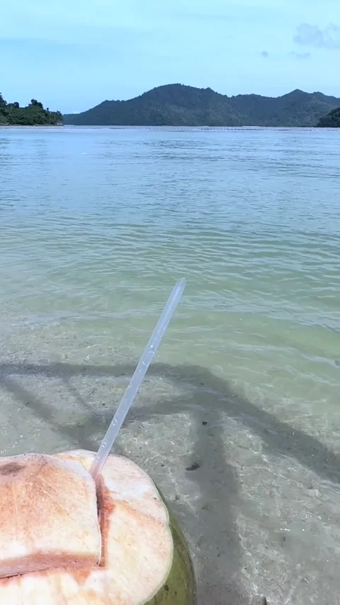Fresh coconut snack on beach before snorkeling, tropical rest moment by calm Stock Footage 337104367