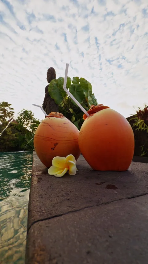 Fresh Coconuts With Drinking Straws by Resort Pool, Tropical Refreshment and Vac 動画素材 336799389