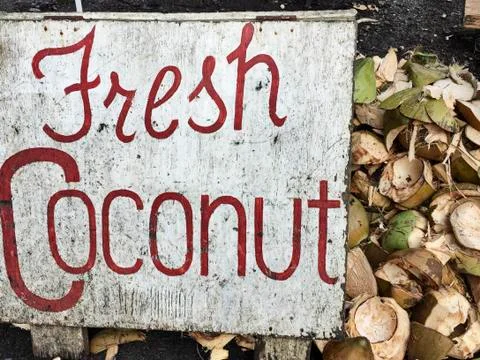 Fresh Coconuts Stock Photos