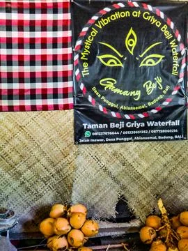 Fresh coconuts for the purification in Hindu temple at in Taman Beji Griya Water Stock Photos