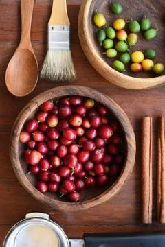 Fresh coffee bean Foto stock