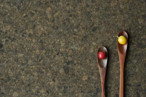 Fresh coffee bean Stock Photos