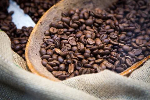 Fresh coffee beans background Stock Photos