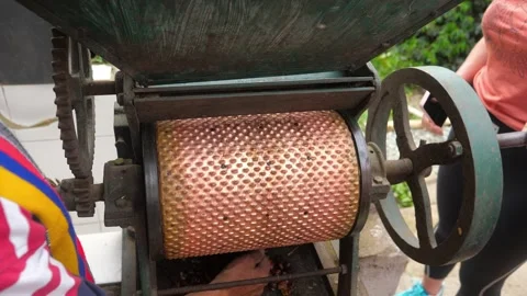 Fresh coffee beans being ground into fine powder. Stock-Footage 323424658