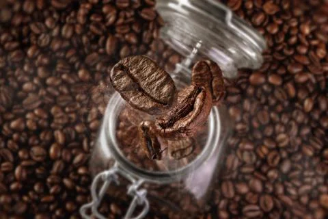 Fresh coffee beans fall in jar with steam Stock Photos