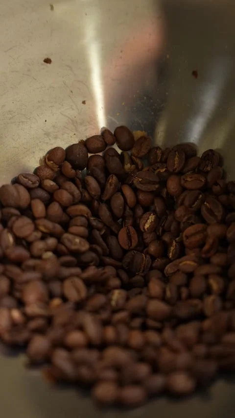Fresh coffee beans Stock Footage 310043426