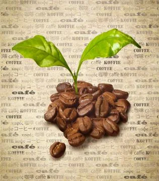 Fresh coffee beans Stock Illustration
