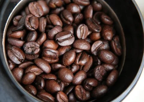 Fresh Coffee Beans Stock Photos