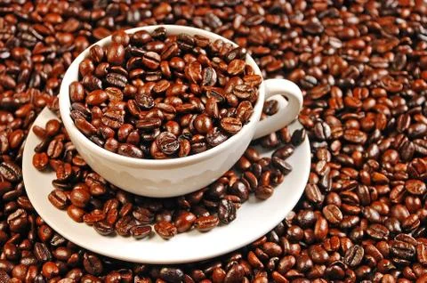 Fresh coffee beans Foto stock