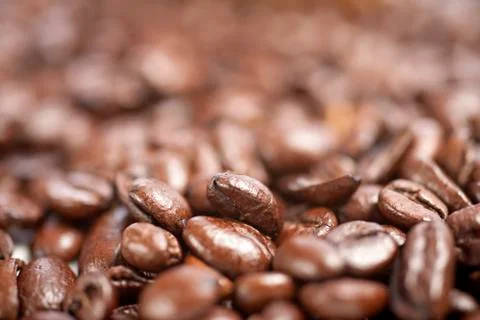 Fresh coffee beans Фото