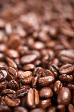 Fresh coffee beans Stock Photos