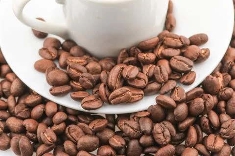 Fresh coffee beans 스톡 사진