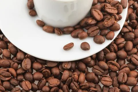 Fresh coffee beans Foto stock