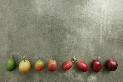 Fresh coffee beans Foto stock