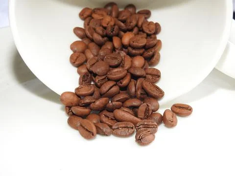 Fresh coffee beans Stock Photos