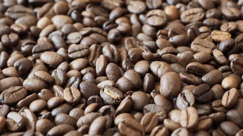 Fresh coffee beans ready for the cafe Stock Footage 116625453